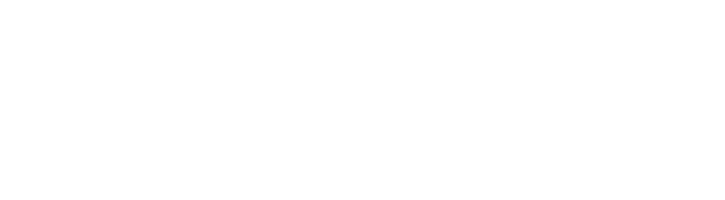 2025 CT Logo