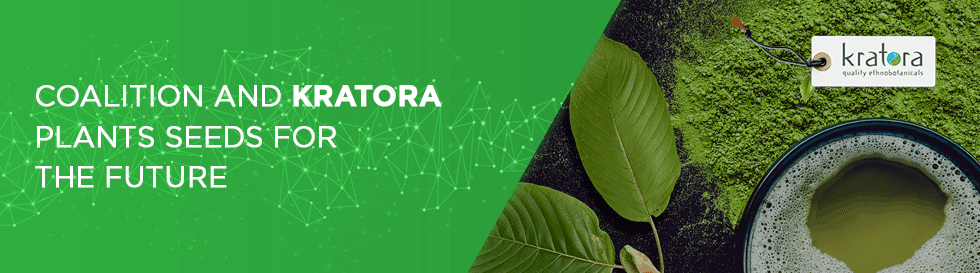 Coalition and Kratora Plants Seeds for the Future