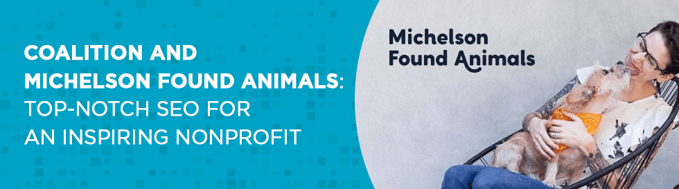 Coalition and Michelson Found Animals Top-Notch SEO for an Inspiring Nonprofit