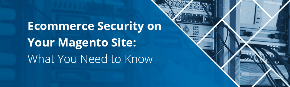 Ecommerce Security on Your Magento Site