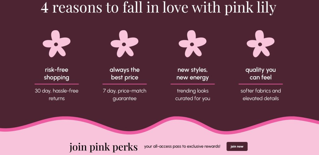 Clear value propositions on the Pink Lily site