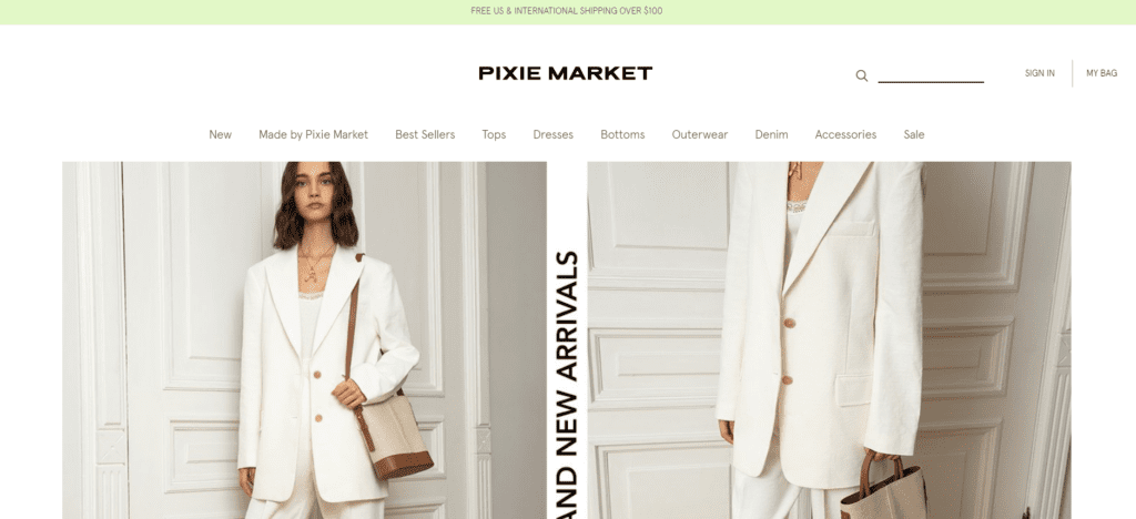 PPC Case Study For Fashion - Pixie Market