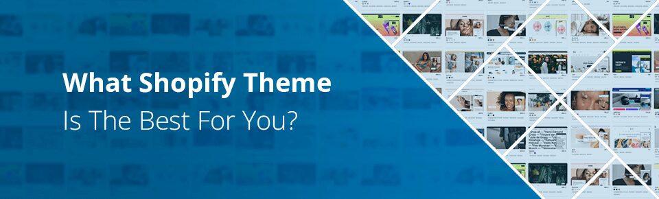 What Shopify Theme is the Best for You?