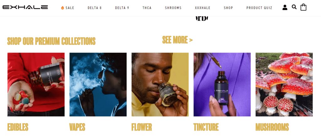 different shroom product categories on a wellness brand’s website