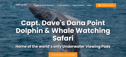 screenshot of Dolphin Safari website