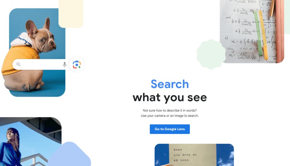the Google Lens homepage shows a dog, a notebook, and a person