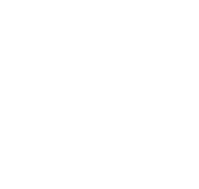 Google 2024 Premier Partner badge