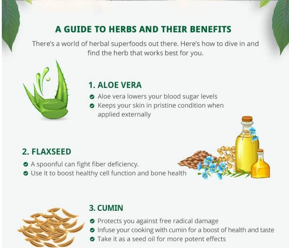 an infographic about herbs and their benefits