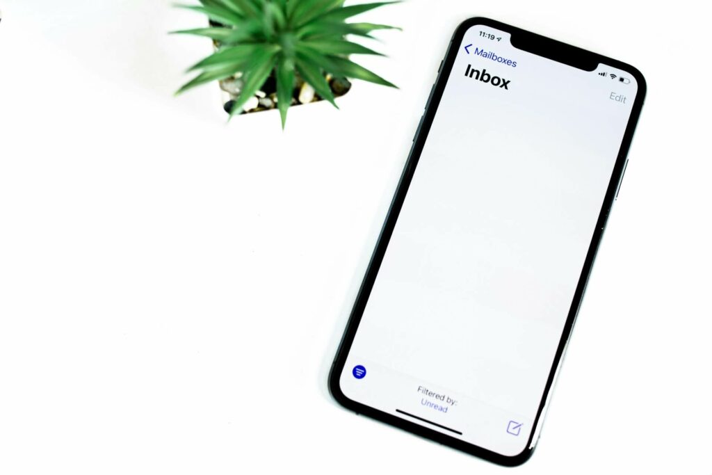 an iPhone against a white background and a plant
