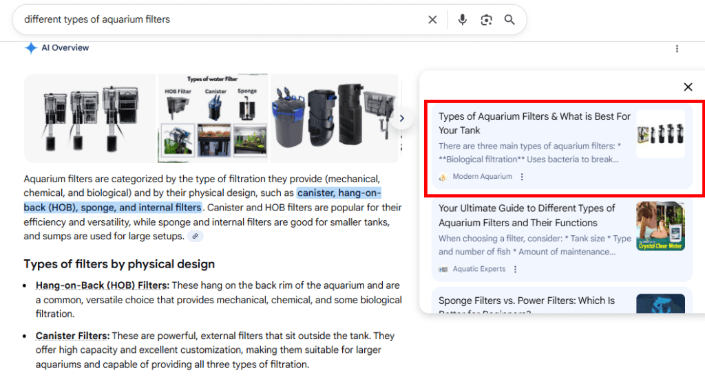 Google AI Search results for types of aquarium filters