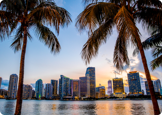 Palm trees framing the Miami skyline at dusk.