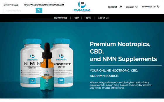 Paradigm Research website homepage.