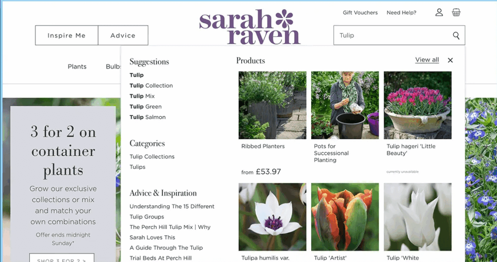 Product suggestions in a store search bar