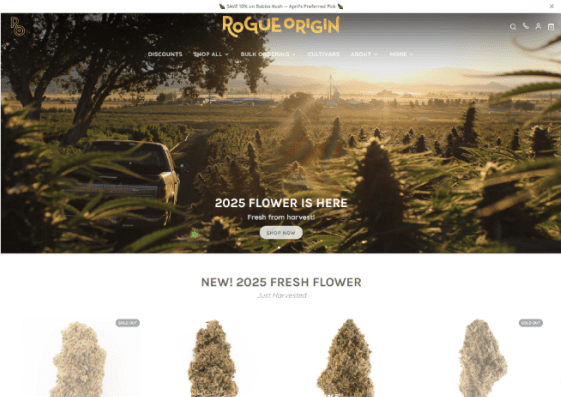 The Homepage of rogueorigin.com, featuring products and a tidy menu