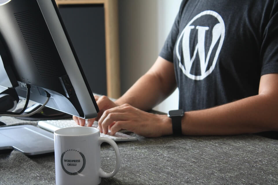 Person in a WordPress shirt working on a website